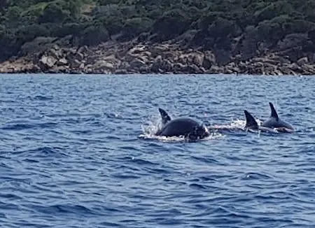 U Riposu Di A Cupulatta 3*