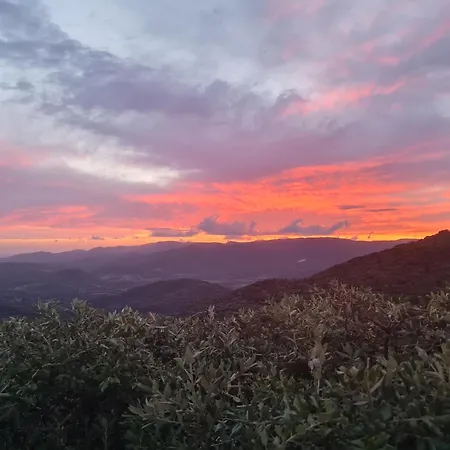 U Riposu Di A Cupulatta 3* Sollacaro