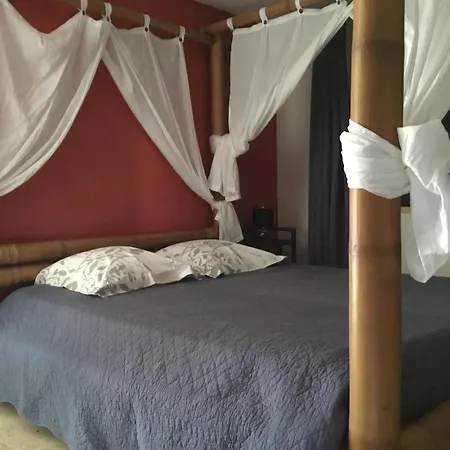 Bed & Breakfast U Riposu Di A Cupulatta