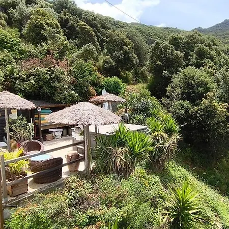 Bed & Breakfast U Riposu Di A Cupulatta